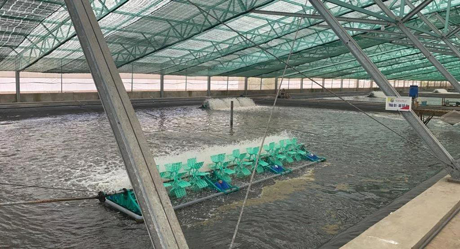 
  好氧池消泡剂厂家成功解决养虾池被污染增氧起泡问题
  